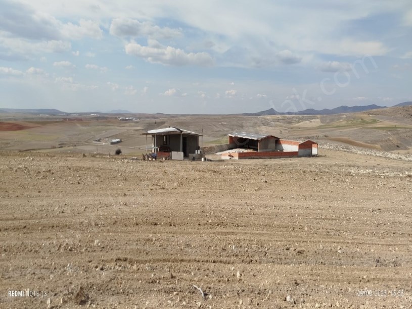 ÇIKRIK KASABASI TARIM VE HAYVANCILIĞA UYGUN TARLA