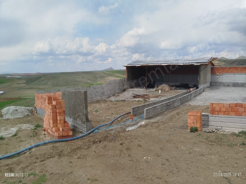 ÇIKRIK KASABASI TARIM VE HAYVANCILIĞA UYGUN TARLA