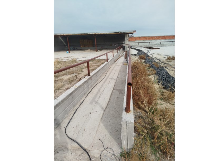 ÇIKRIK KASABASI TARIM VE HAYVANCILIĞA UYGUN TARLA