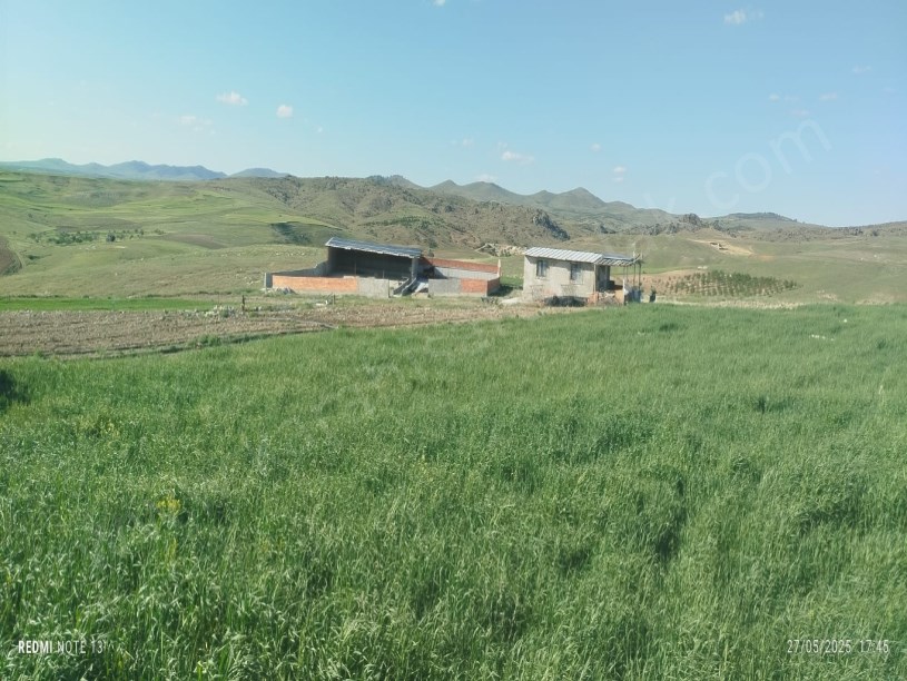 ÇIKRIK KASABASI TARIM VE HAYVANCILIĞA UYGUN TARLA