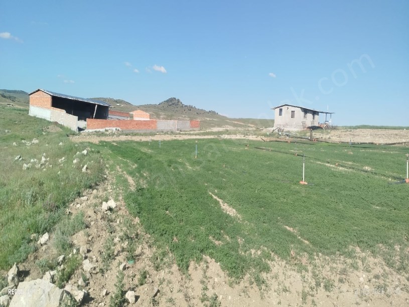 ÇIKRIK KASABASI TARIM VE HAYVANCILIĞA UYGUN TARLA