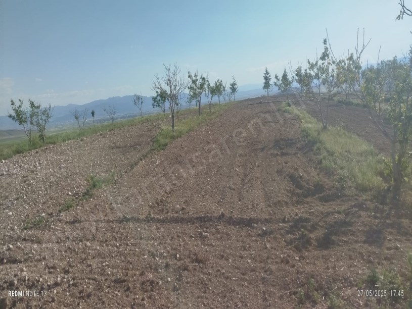 ÇIKRIK KASABASI TARIM VE HAYVANCILIĞA UYGUN TARLA