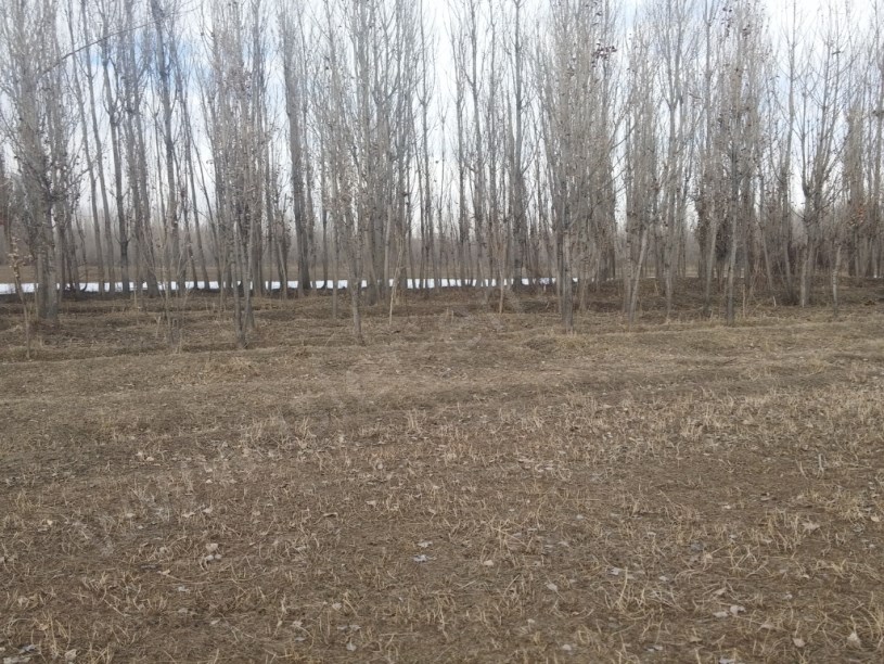 SATILIK ARAZİ 47.500 DUNUM pazlık var