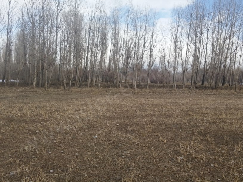 SATILIK ARAZİ 47.500 DUNUM pazlık var