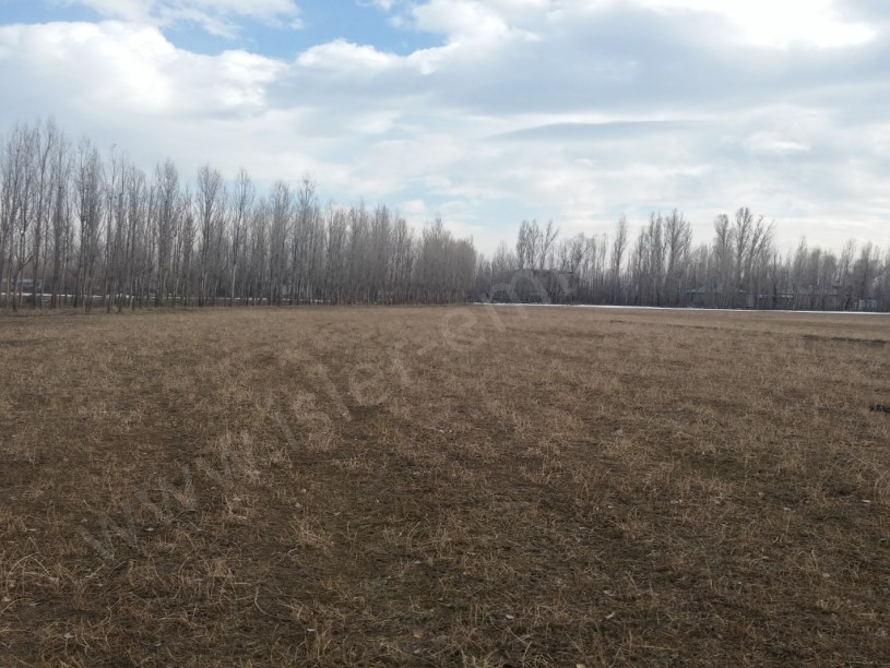 SATILIK ARAZİ 47.500 DUNUM pazlık var