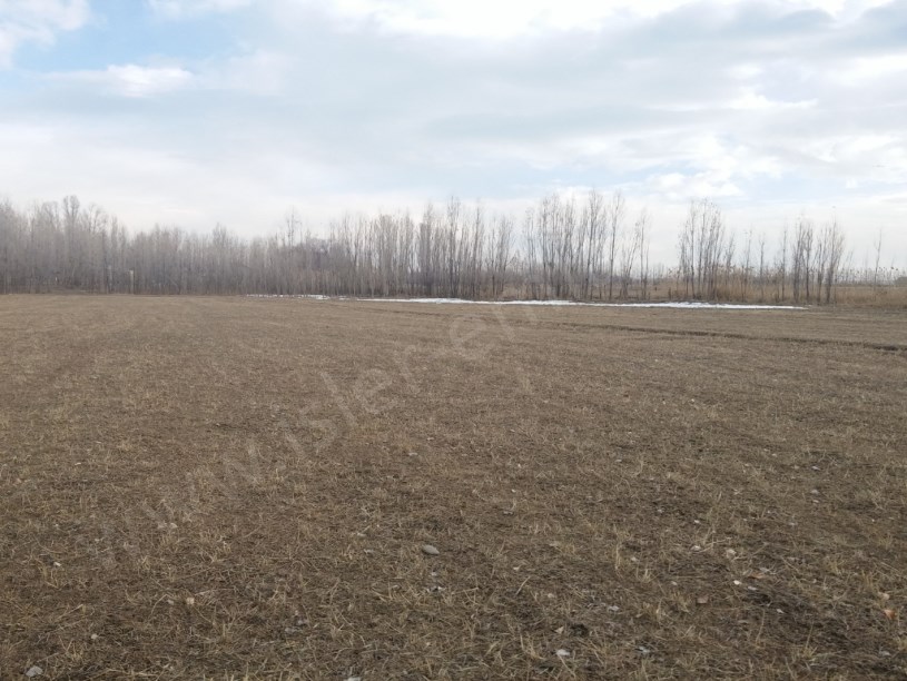 SATILIK ARAZİ 47.500 DUNUM pazlık var