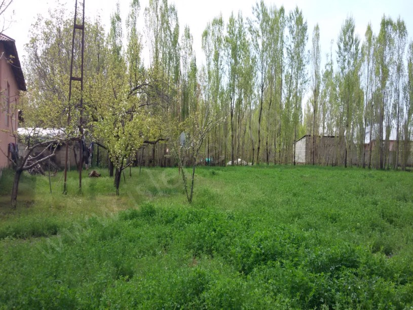 İFRAZLİ arsa İŞLER