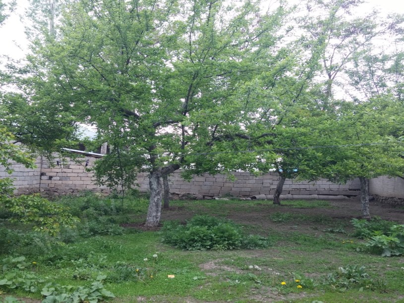 İfrazli arsa ev bahce 