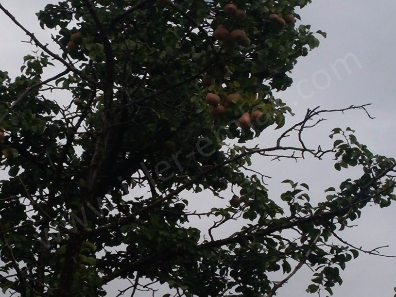 Satilik ev arsa bahçe mukemel