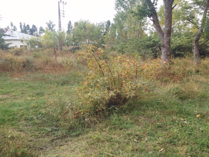 Satilik ev arsa bahçe mukemel