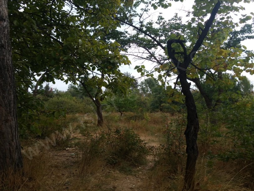 Çelebibağda satilik arsa