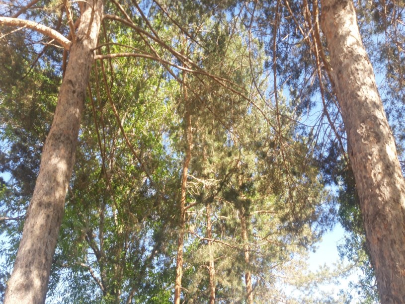 SATILIK EV BAĞ BAHÇE ercişte bunun.emsalinda.yok