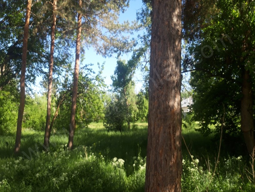 SATILIK EV BAĞ BAHÇE ercişte bunun.emsalinda.yok