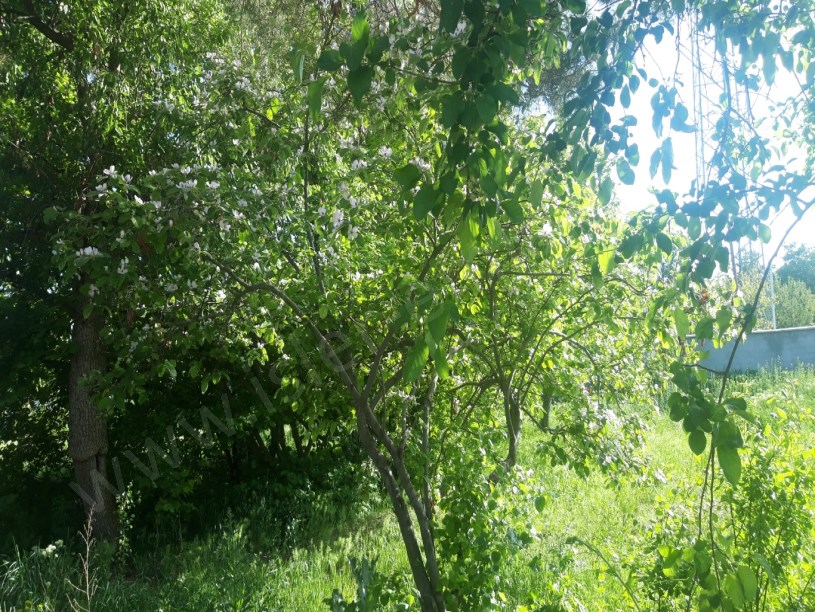 SATILIK EV BAĞ BAHÇE ercişte bunun.emsalinda.yok