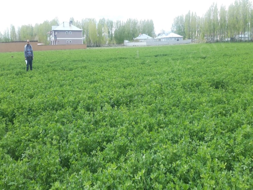 yola sifir15 dunum arsa