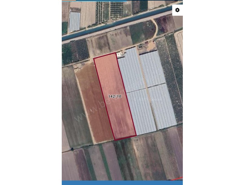 SERİK SARIABALI.DA SATILIK TARLA