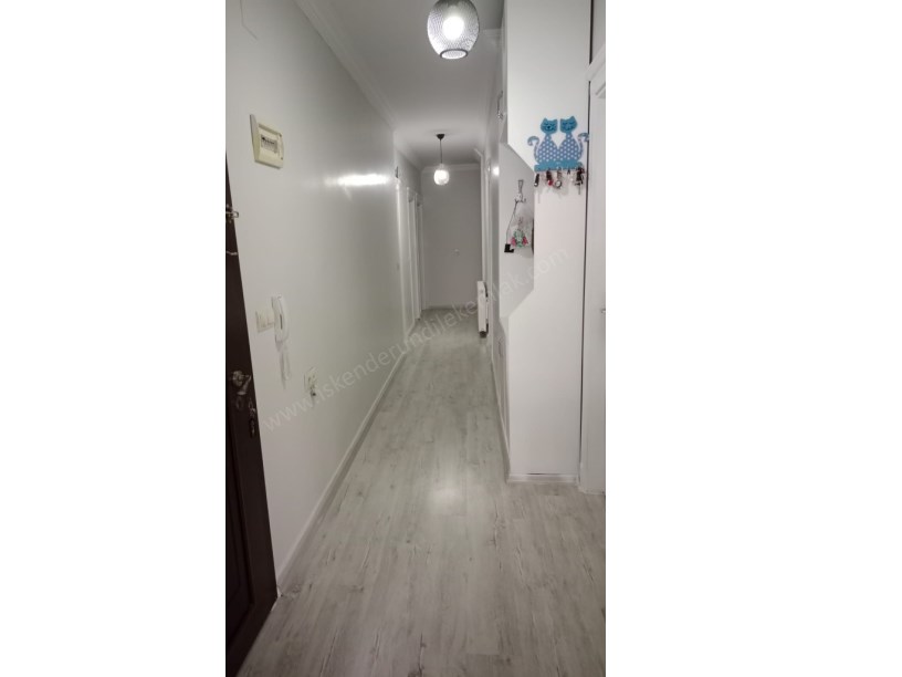 3+1 DAİRE