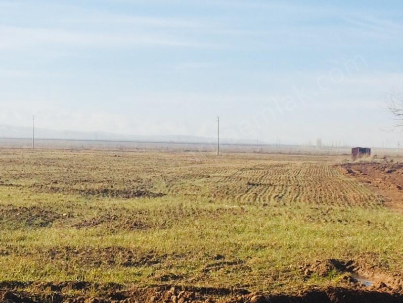 YOLA SIFIR İMARI YAKIN ZAMANDA GELECEK TARLA