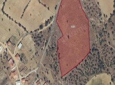 UŞAK EŞMELER DEREKÖY MAH YOLA CEPHELİ 23,893 m2 EMSAL NİTELİĞİ İŞLETME VE TARIM AMAÇLI SATILIK TARLA