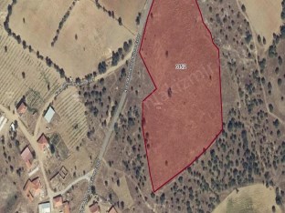 UŞAK EŞMELER DEREKÖY MAH YOLA CEPHELİ 23,893 m2 EMSAL NİTELİĞİ İŞLETME VE TARIM AMAÇLI SATILIK TARLA