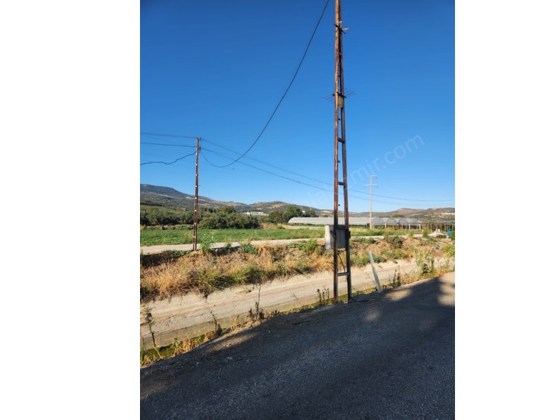 MENEMEN İĞNEDERE MAH. YOLA SIFIR 848 m2 ELEKTİRİK VE SUYU OLAN MEYVE BAHÇESİ SATILIK.