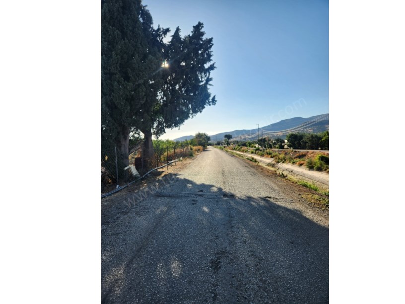 MENEMEN İĞNEDERE MAH. YOLA SIFIR 848 m2 ELEKTİRİK VE SUYU OLAN MEYVE BAHÇESİ SATILIK.