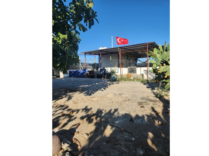 MENEMEN İĞNEDERE MAH. YOLA SIFIR 848 m2 ELEKTİRİK VE SUYU OLAN MEYVE BAHÇESİ SATILIK.
