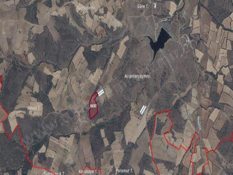 UŞAK EŞMELER DEREKÖY MAH YOLA CEPHELİ 23,893 m2 EMSAL NİTELİĞİ İŞLETME VE TARIM AMAÇLI SATILIK TARLA