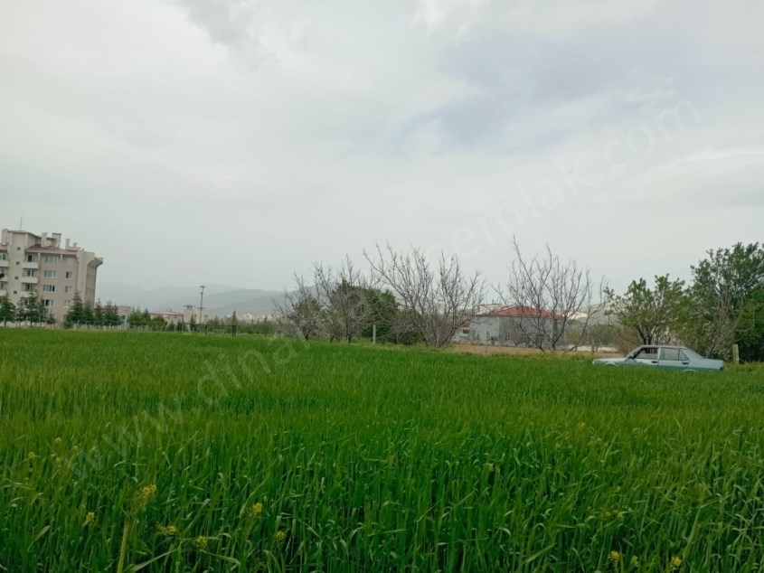 DİKİCİ KÖYÜNDE YATIRIMLIK TARLA