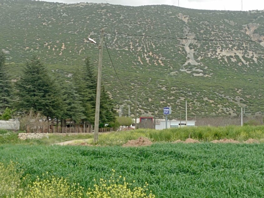 DİKİCİ KÖYÜNDE YATIRIMLIK TARLA