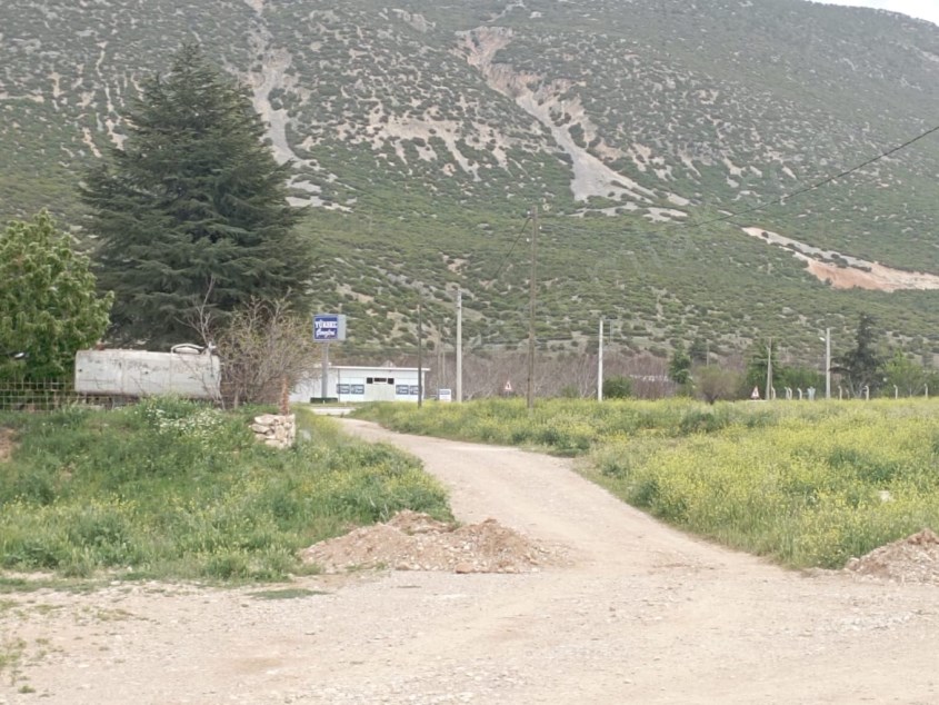 DİKİCİ KÖYÜNDE YATIRIMLIK TARLA