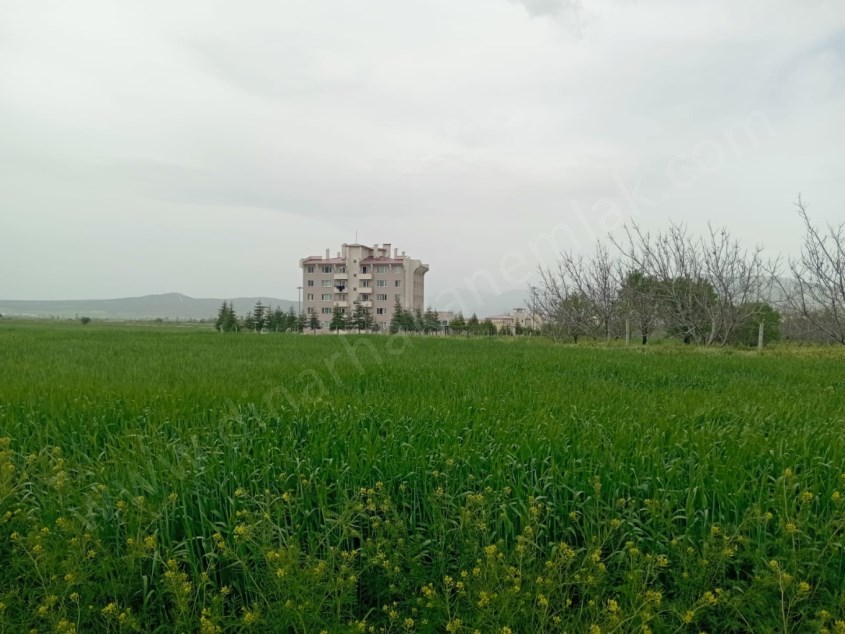 DİKİCİ KÖYÜNDE YATIRIMLIK TARLA