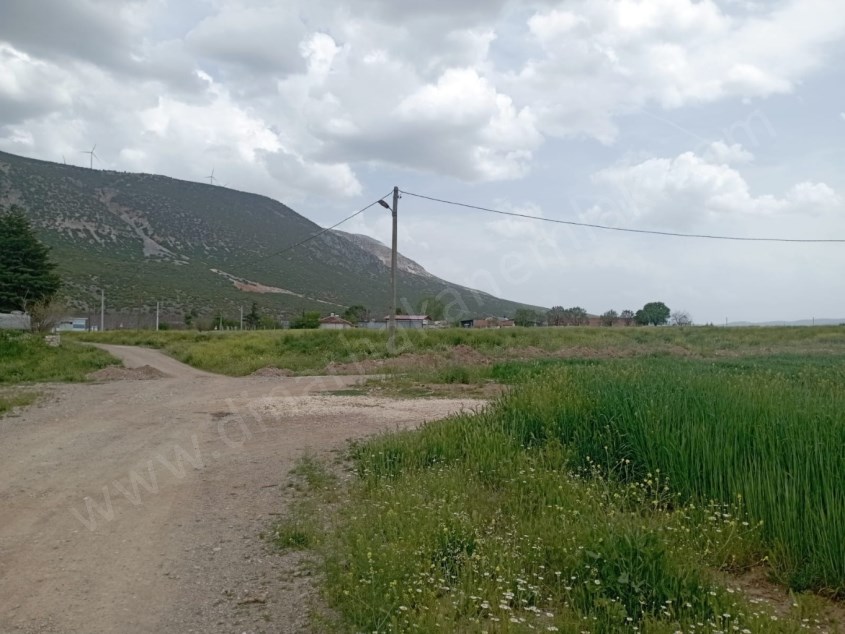 DİKİCİ KÖYÜNDE YATIRIMLIK TARLA