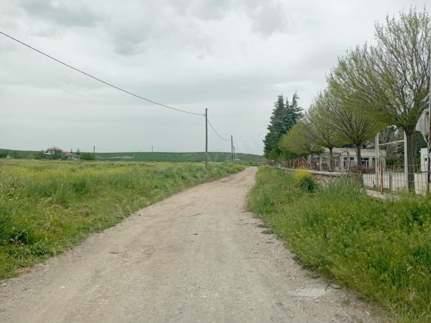 DİKİCİ KÖYÜNDE YATIRIMLIK TARLA