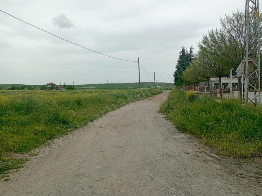 DİKİCİ KÖYÜNDE YATIRIMLIK TARLA