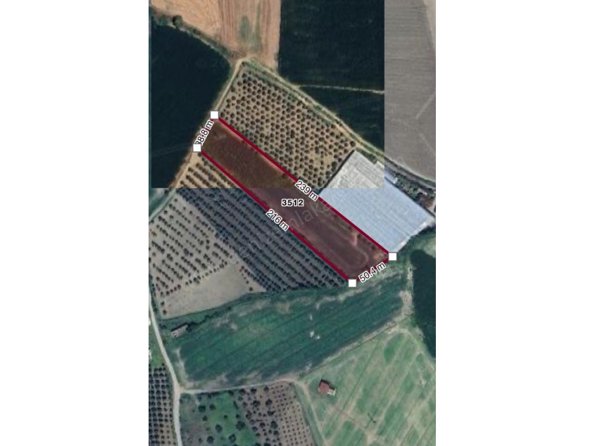 Arsuz Karahüseyinli Mahallesinde çok güzel konuma sahip müstakil tapu 10.000 metre² satılıktır