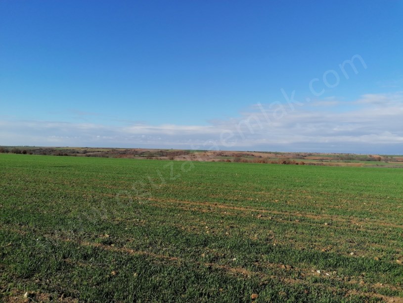 KIRKLARELİ BÖLGESİNDE 1200DÖNÜM BLOK TARIM ARAZİSİ