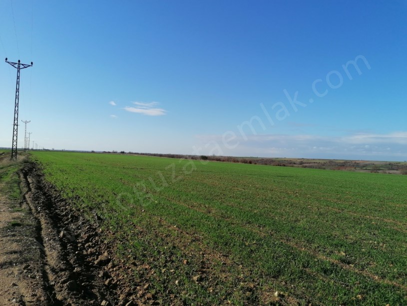 KIRKLARELİ BÖLGESİNDE 1200DÖNÜM BLOK TARIM ARAZİSİ