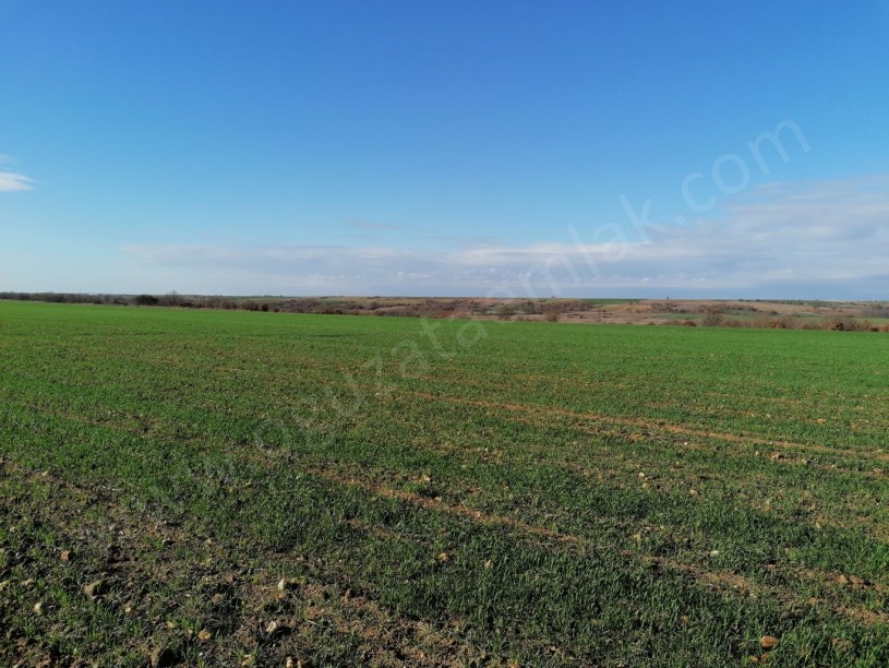 KIRKLARELİ BÖLGESİNDE 1200DÖNÜM BLOK TARIM ARAZİSİ