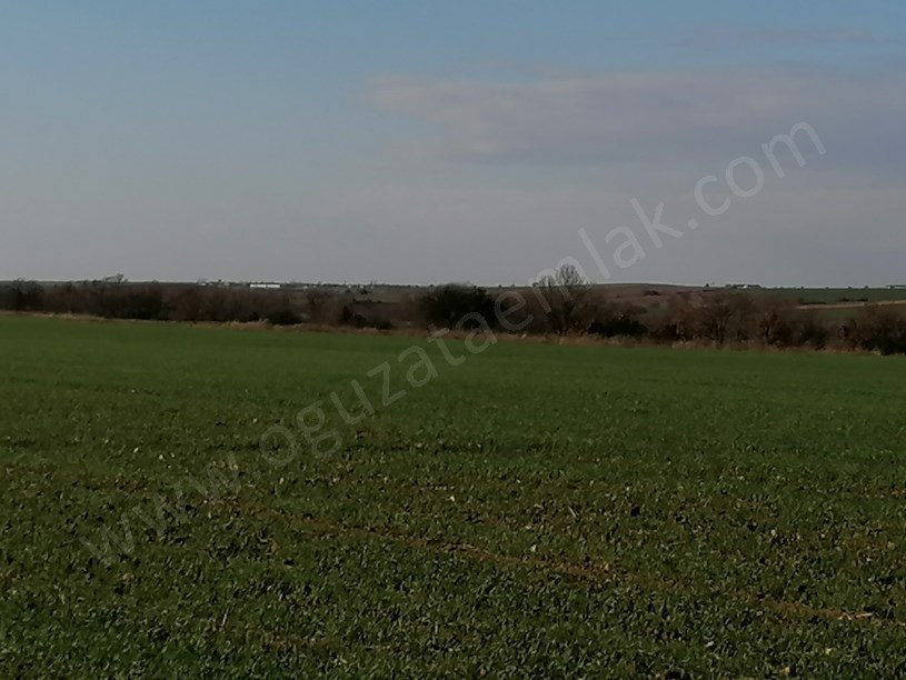 KIRKLARELİ BÖLGESİNDE 1200DÖNÜM BLOK TARIM ARAZİSİ