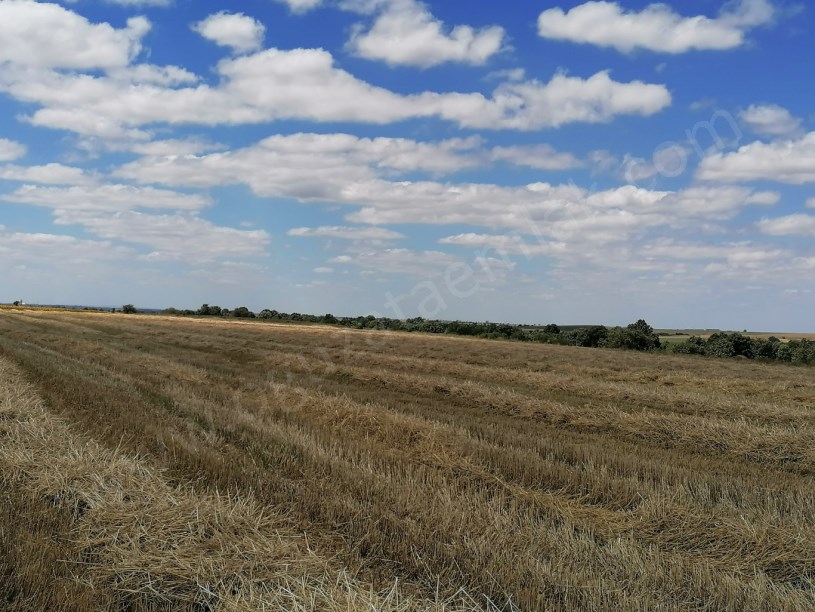 KIRKLARELİ BÖLGESİNDE 1200DÖNÜM BLOK TARIM ARAZİSİ