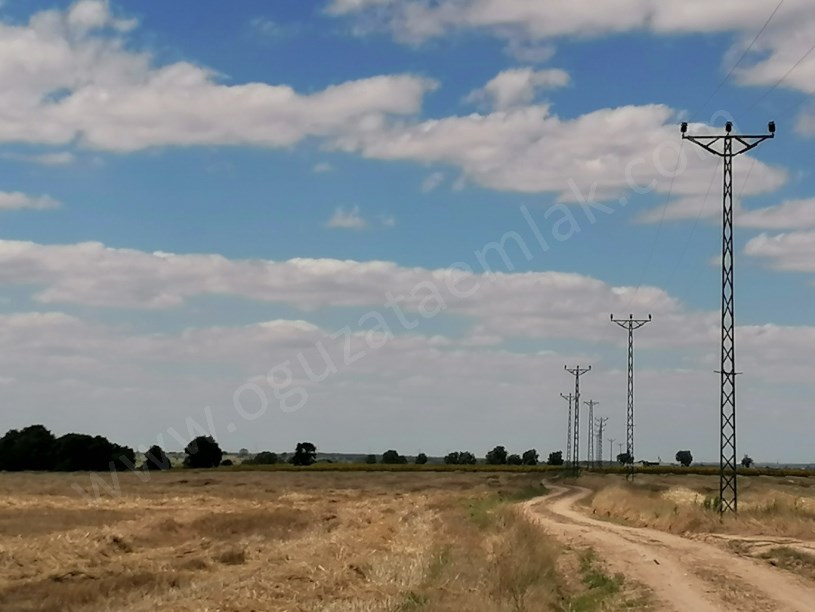 KIRKLARELİ BÖLGESİNDE 1200DÖNÜM BLOK TARIM ARAZİSİ