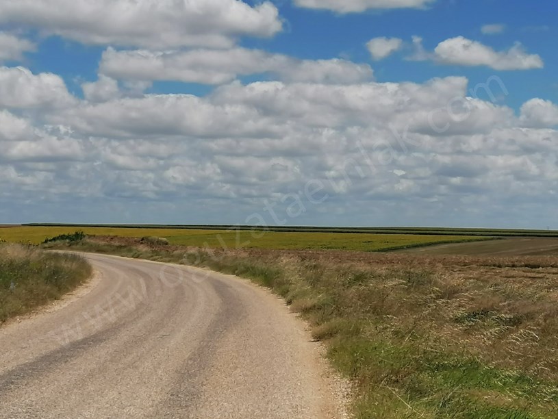 KIRKLARELİ BÖLGESİNDE 1200DÖNÜM BLOK TARIM ARAZİSİ