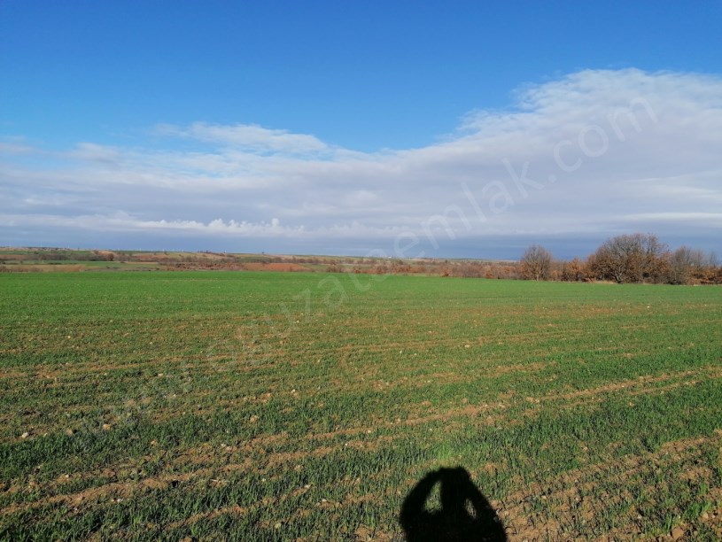 KIRKLARELİ BÖLGESİNDE 1200DÖNÜM BLOK TARIM ARAZİSİ