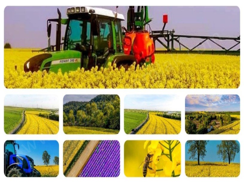 EDİRNE BÖLGESİNDE 500 1000 2500 5000 DÖNÜM TARIM ARAZİLERİ