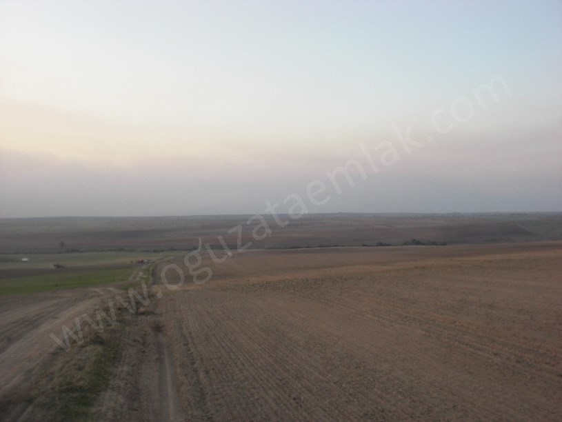 EDİRNE BÖLGESİNDE 500 1000 2500 5000 DÖNÜM TARIM ARAZİLERİ