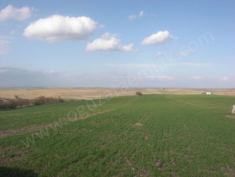 EDİRNE BÖLGESİNDE 500 1000 2500 5000 DÖNÜM TARIM ARAZİLERİ