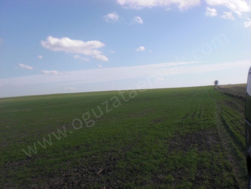 EDİRNE BÖLGESİNDE 500 1000 2500 5000 DÖNÜM TARIM ARAZİLERİ