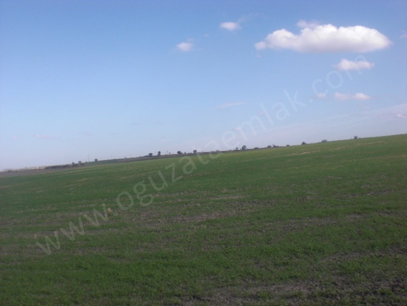 EDİRNE BÖLGESİNDE 500 1000 2500 5000 DÖNÜM TARIM ARAZİLERİ
