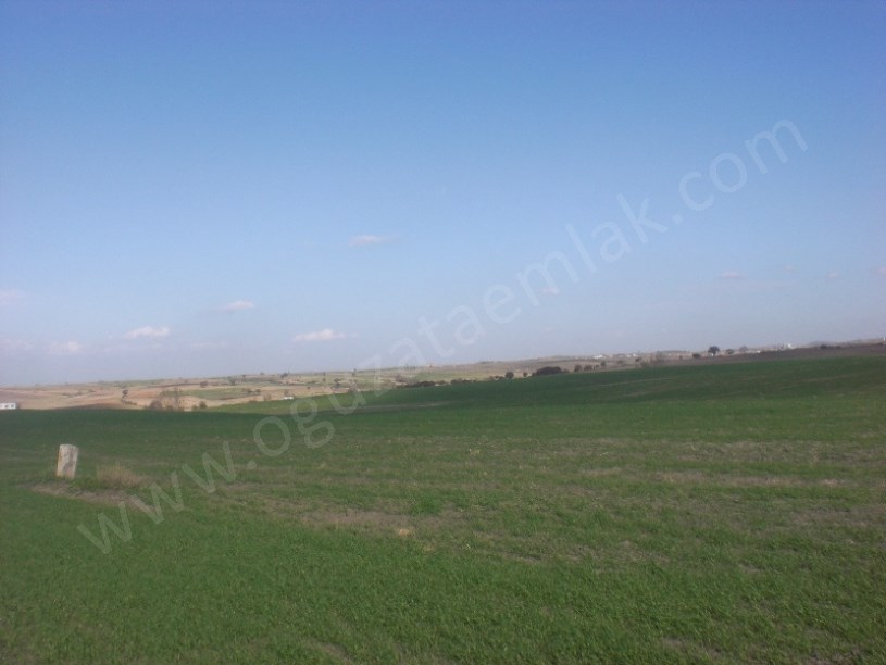 EDİRNE BÖLGESİNDE 500 1000 2500 5000 DÖNÜM TARIM ARAZİLERİ